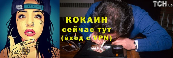 кокс Алексин