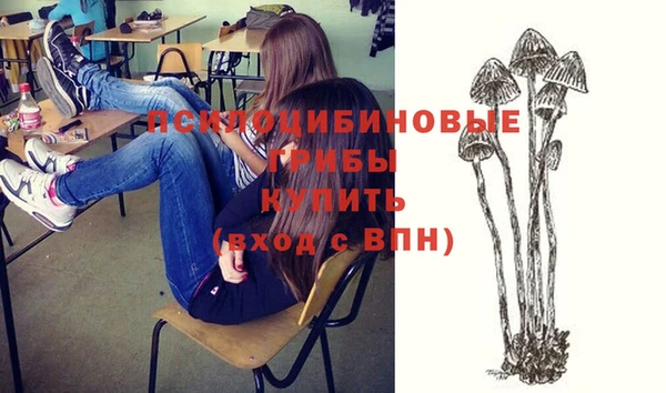 спиды Алексеевка