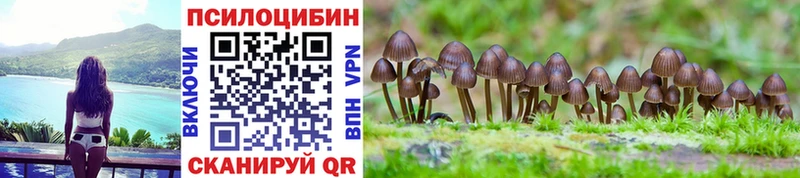 блэк спрут ссылки Лысьва Псилоцибиновые грибы Cubensis